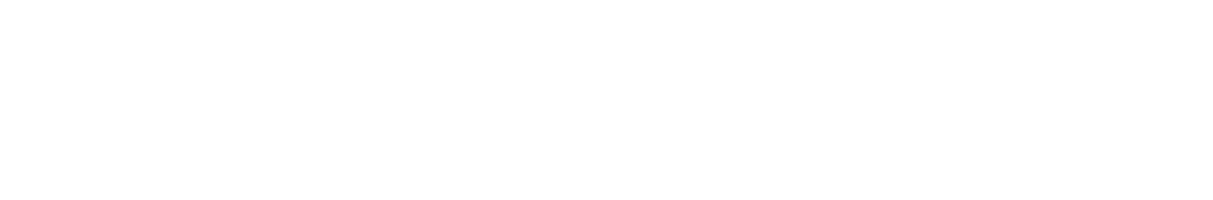 novartis logo